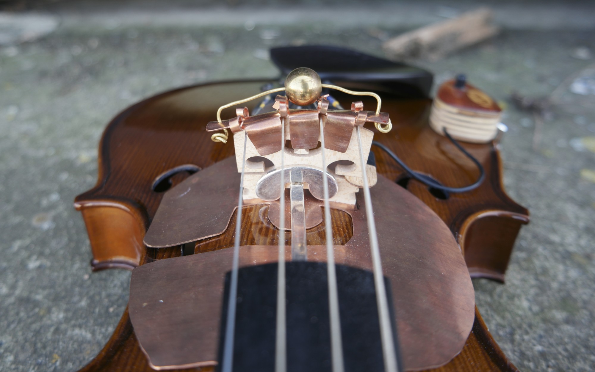 Buzzing Strings